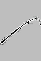 Ninja Sp 2.74m 14-42gr 2p Spin Olta Kamışı